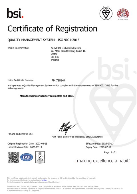 ISO 9001 certificate — Certificate preview